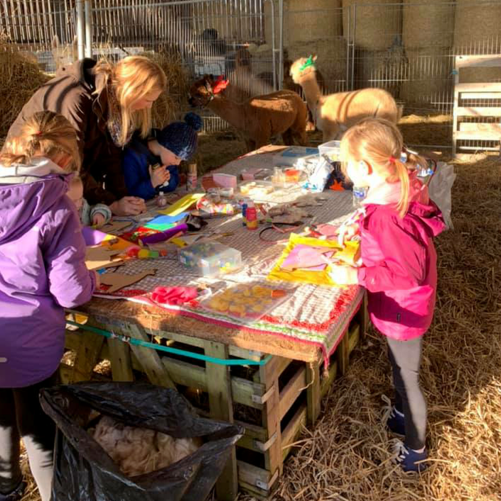 Crafting with the Alpacas