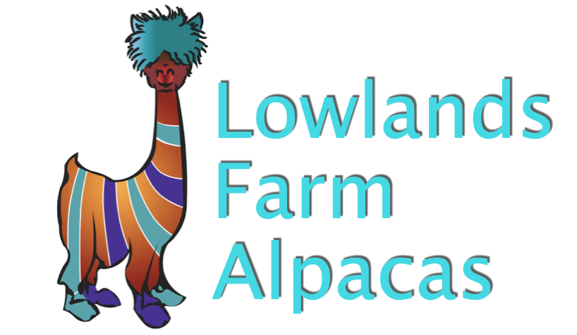 Lowlands Farm Alpacas